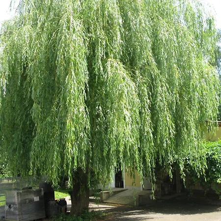 Fewo Weidenhof Grosschwabhausen Exterior foto