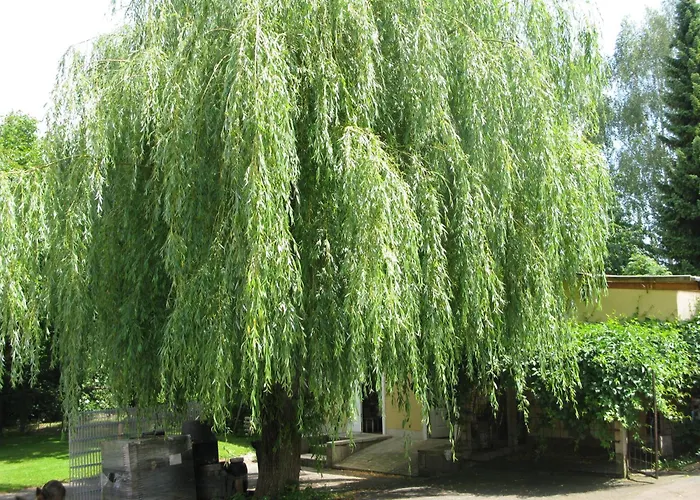 Fewo Weidenhof